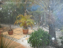 20091005 Hail Storm 03 of 52
